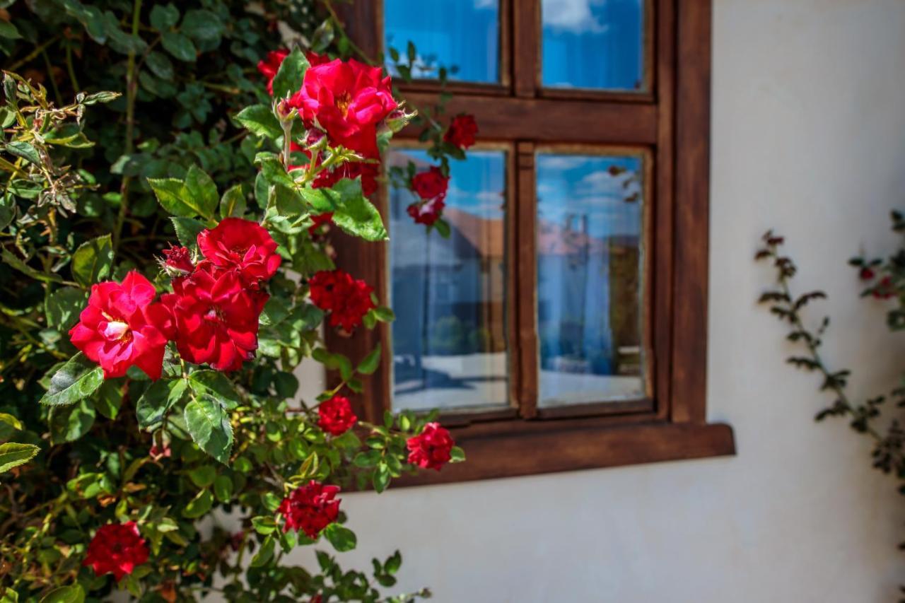 Woodland Resort Κραγκούγιεβατς Εξωτερικό φωτογραφία